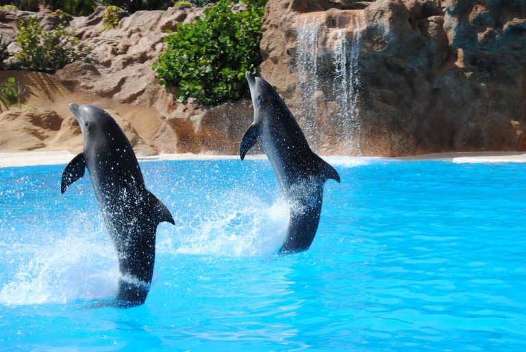 Being Agile in a Waterfall World