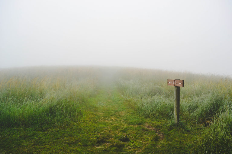 Big data and personalization: where do we draw the line?