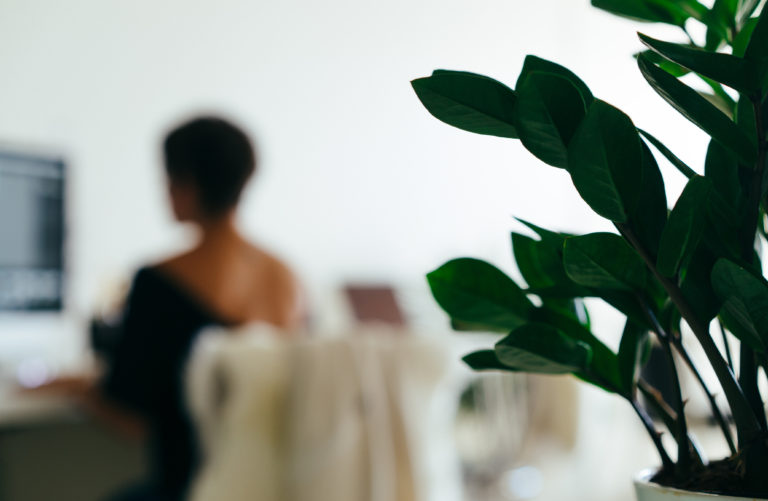 Comparing PMI-ACP and Scrum Master certifications