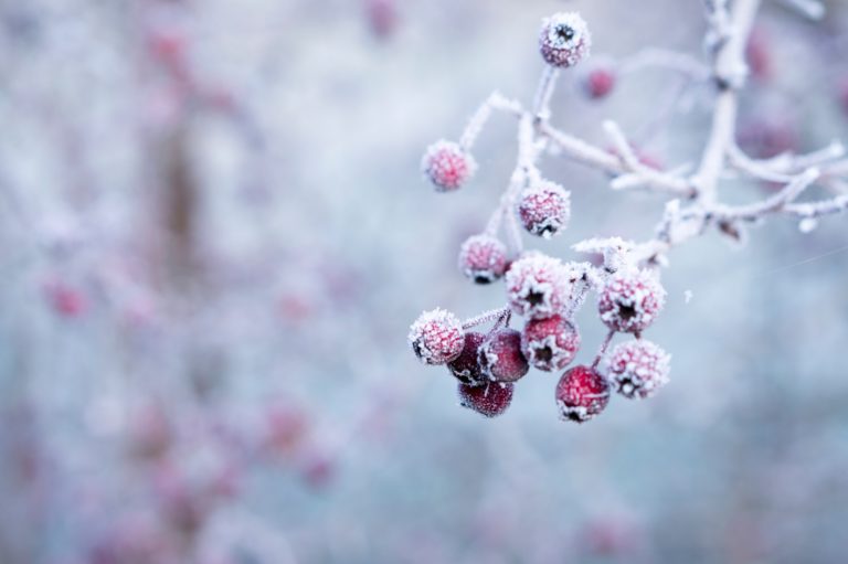 SnowPro Core Certification